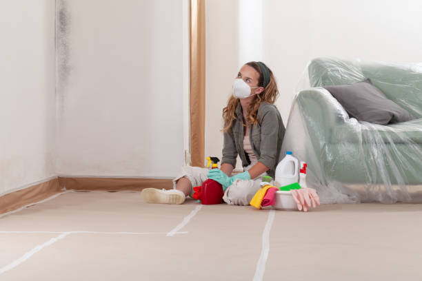 Reliable Black Mold Remediation contractor in Lockport, IL by Car Mold Remediation